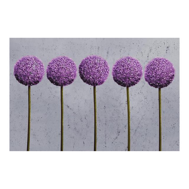 Round Allium Blooms 3.2m x 4.8m Textured Matt Peel & Stick Wall Mural East Urban Home on Productcaster.