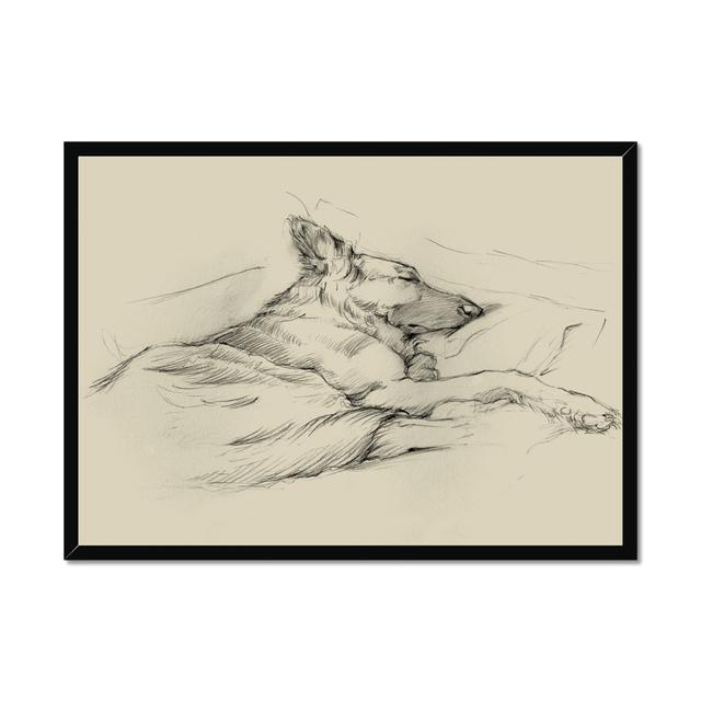 'Dog Days IV' by Ethan Harper - Wrapped Canvas Drawing Print Marlow Home Co. Format: Black Framed Paper Print, Size: 55cm H x 80cm W on Productcaster.