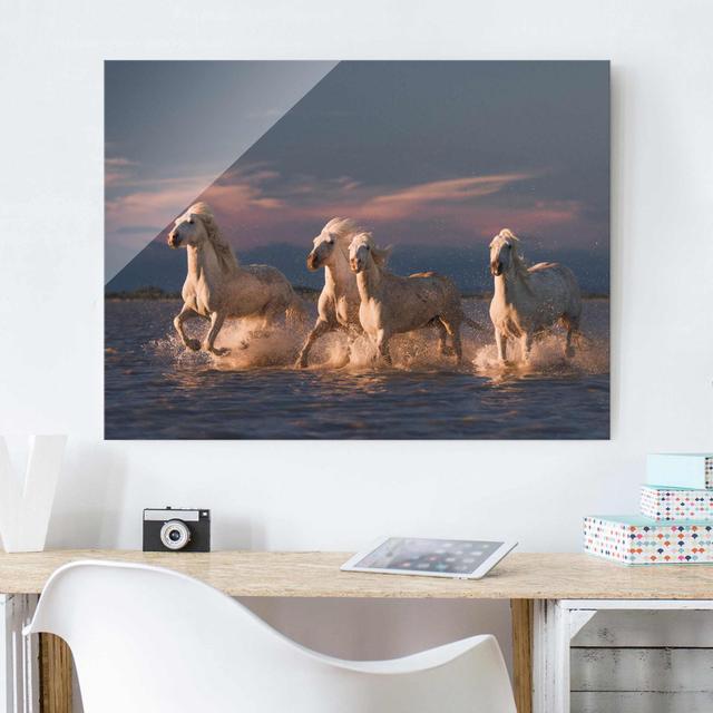 Glasbild Wild Horses in Kamargue East Urban Home Größe: 75 cm H x 100 cm B x 0,4 cm T on Productcaster.