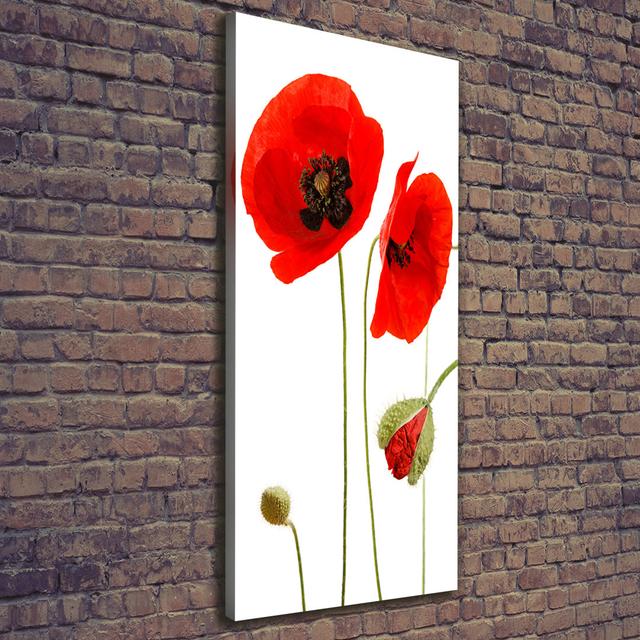 Field Poppies - Wrapped Canvas Art Prints Brayden Studio on Productcaster.