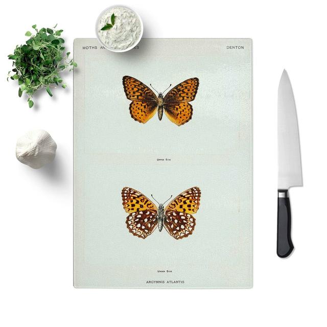 Tempered Glass Atlantis Fritillary Butterfly Chopping Board East Urban Home Size: 20 cm W x 28.5 cm L on Productcaster.