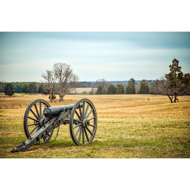 Cannon On Meadow by Bill Chizek - Wrapped Canvas Print Brambly Cottage Size: 30cm H x 46cm W on Productcaster.