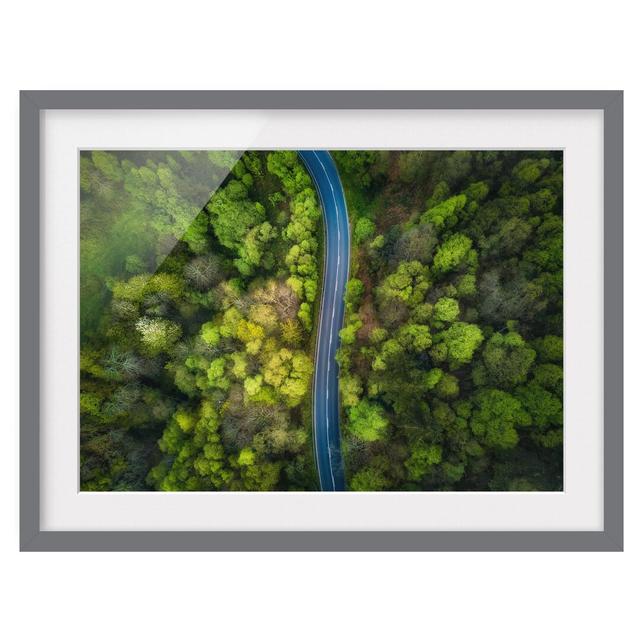 Aerial View - Asphalt Road in Forest - Picture Frame Photograph Union Rustic Size: 50cm H x 70cm W x 2cm D, Frame Option: Grey Framed on Productcaster.