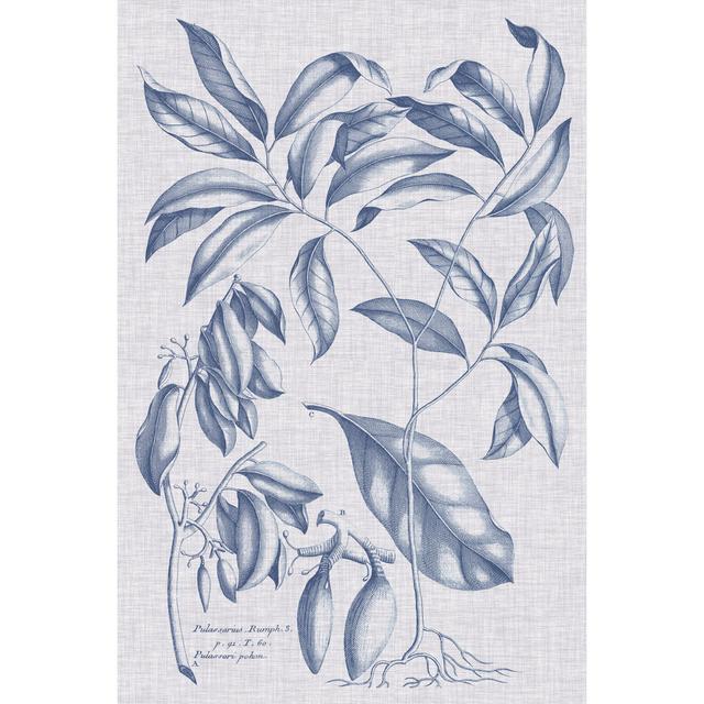 Navy & Linen Botanical I by Vision Studio - No Frame Print on Canvas August Grove Size: 91cm H x 61cm W x 3.8cm D on Productcaster.