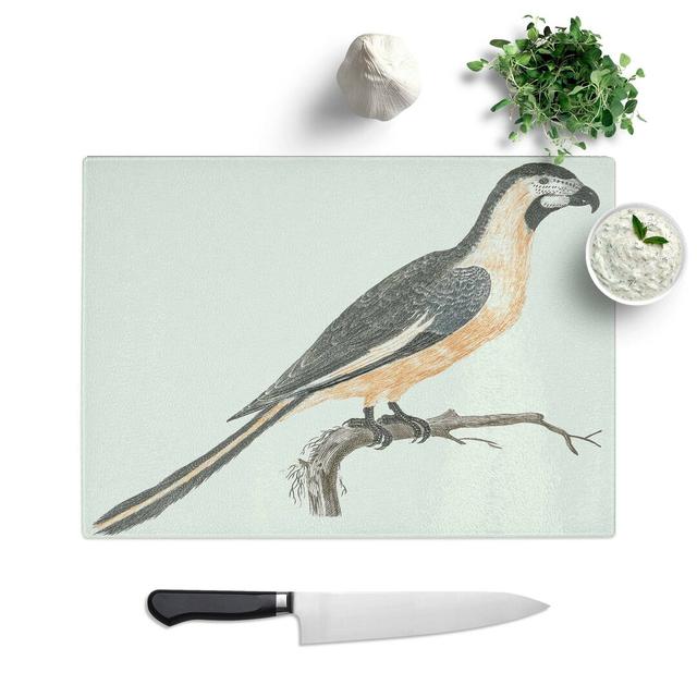 Tempered Glass Parrot by Johan Teyler Chopping Board East Urban Home Size: 39 cm W x 28.5 cm L on Productcaster.