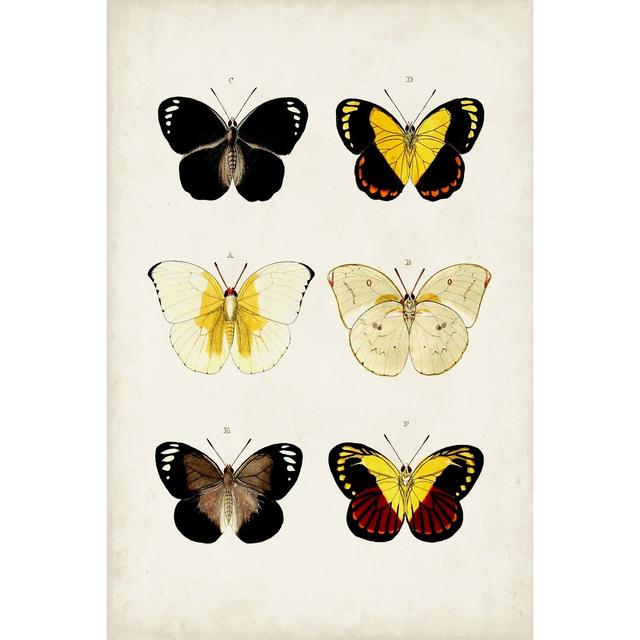 Vintage Butterflies I - Wrapped Canvas Painting August Grove Size: 122cm H x 81cm W x 3.8cm D on Productcaster.