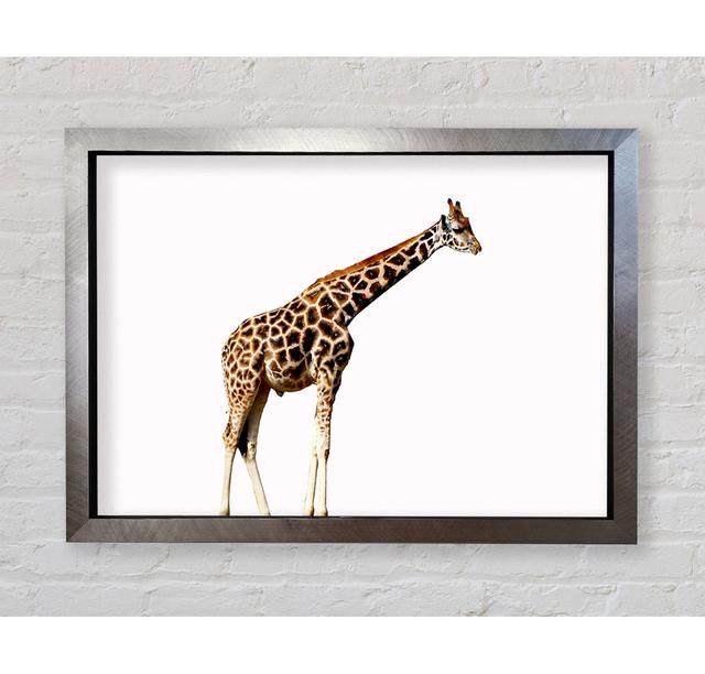 Giraffe Neck - Print Bright Star Size: 84.1cm H x 118.9cm W x 3.4cm D on Productcaster.