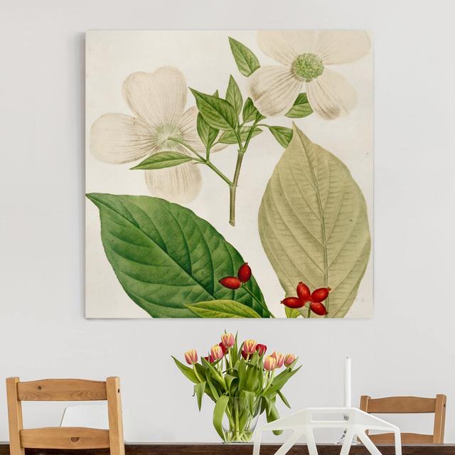 Leaf Blossom Fruit III - Wrapped Canvas Graphic Art August Grove Format: 260gsm canvas, Size: 60cm H x 60cm W on Productcaster.