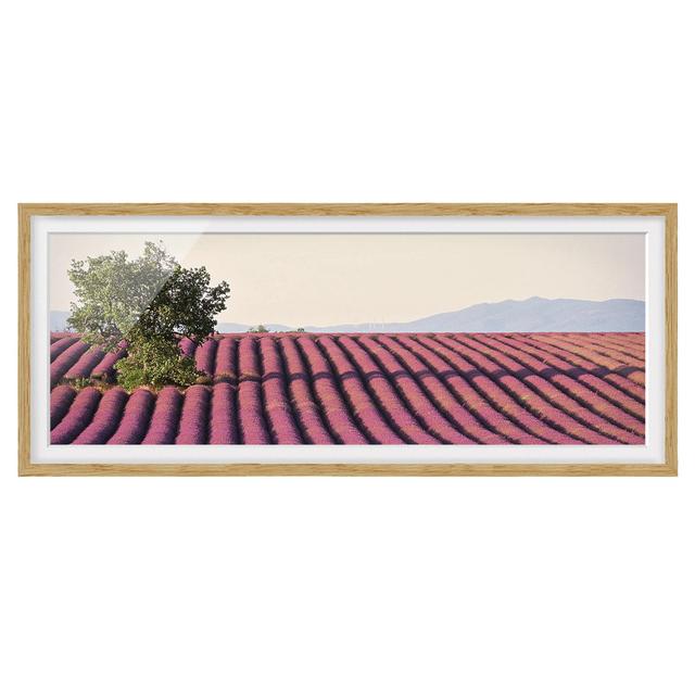 Picture With Frame - Lavender - Panorama Landscape Fleur De Lis Living Size: 50cm H x 130cm W x 2cm D, Frame Option: Brown Framed on Productcaster.