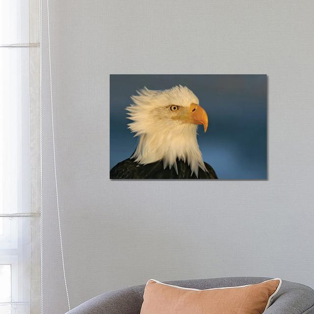 Eagle Alaska II By Miguel Lasa - Wrapped Canvas Graphic Art by Miguel Lasa - Wrapped Canvas Gallery-Wrapped Canvas Giclée Alpen Home Size: 45.72cm H x on Productcaster.