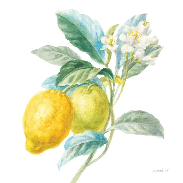 Floursack Lemon II by Danhui Nai - Wrapped Canvas Painting Blue Elephant Size: 46cm H x 30cm W on Productcaster.