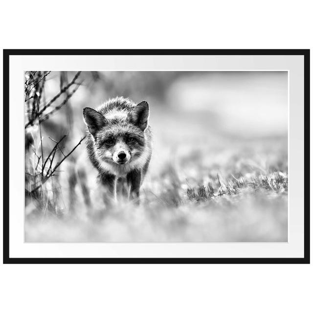 Gerahmtes Poster Schleichender Fuchs East Urban Home Größe: 70 cm H x 100 cm B on Productcaster.