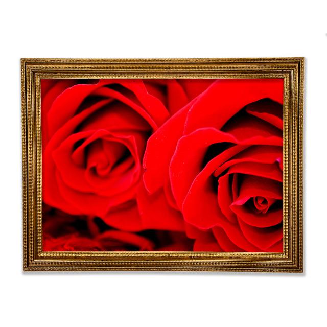 Red Rose Close-up Twins - Single Picture Frame Print Brayden Studio Size: 84.1cm H x 118.9cm W x 3cm D, Format: Rembrandt Gold Framed Paper on Productcaster.