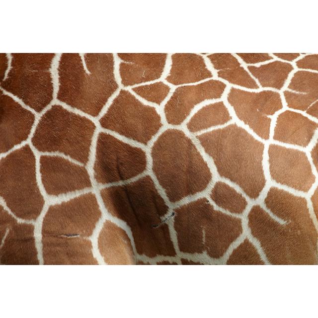 Giraffe Pattern by Bikec - Wrapped Canvas Art Prints Metro Lane Size: 50cm H x 75cm W on Productcaster.