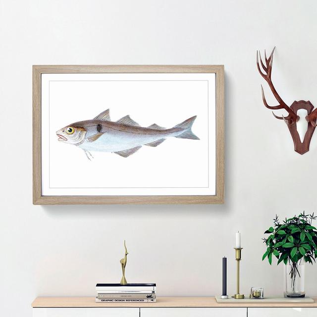 Haddock Fish by Edward Donovan - Picture Frame Painting Print East Urban Home Frame Option: Oak Framed, Size: 36cm H x 48cm W x 2cm D on Productcaster.