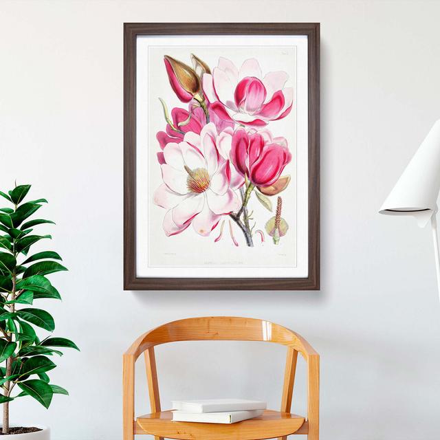 Himalayan Magnolia Flowers by W. H. Fitch - Picture Frame Painting Print East Urban Home Size: 48cm H x 36cm W x 2cm D, Frame Option: Walnut Framed on Productcaster.