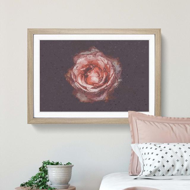 Pink Tipped Rose Flower - Picture Frame Graphic Art Print East Urban Home Frame Option: Oak, Size: 50cm H x 76cm W x 2cm D on Productcaster.