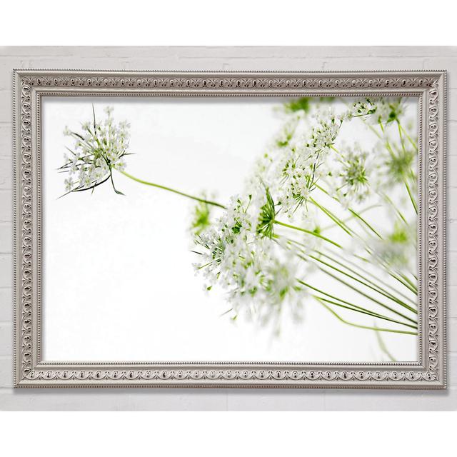 White On White Flowers Framed Print Ebern Designs Size: 21cm H x 29.7cm W on Productcaster.