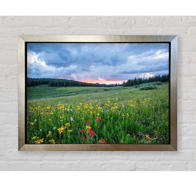 Spring Meadow Between The Trees Framed Print Ebern Designs Size: 42'' H x 59.7'' W x 3.4'' D on Productcaster.