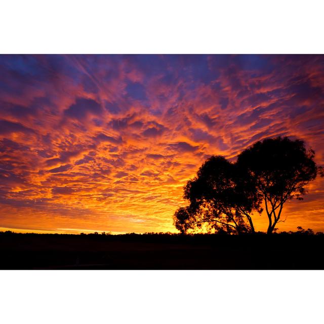 Spectacular Sunset by Dan Briffa - Wrapped Canvas Photograph Ebern Designs Size: 81.28cm H x 121.92cm W on Productcaster.