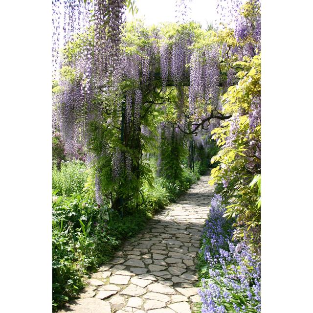 Wisteria 5 - Wrapped Canvas Photograph Ebern Designs Size: 46cm H x 30cm W on Productcaster.