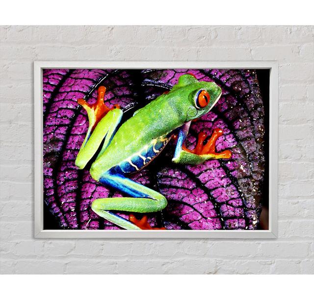 Leap Frog - Single Picture Frame Art Prints on Canvas Bright Star Size: 59.7cm H x 84.1cm W x 3.3cm D on Productcaster.