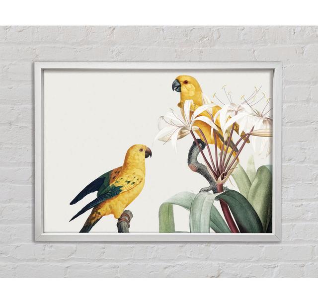 Two Yellow Parrots - Print Bright Star Size: 59.7cm H x 84.1cm W x 3.3cm D on Productcaster.