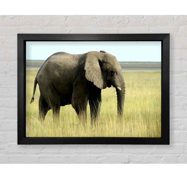 African Elephant Namibia - Print Ebern Designs Size: 100cm H x 141.4cm W x 3.4cm D on Productcaster.