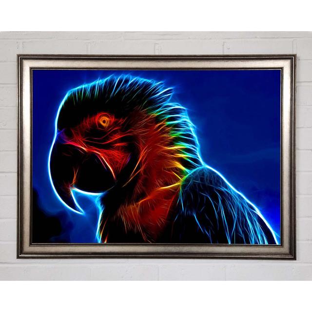 Rainbow Parrot Framed Print Brayden Studio Size: 59.7cm H x 84.1cm W on Productcaster.