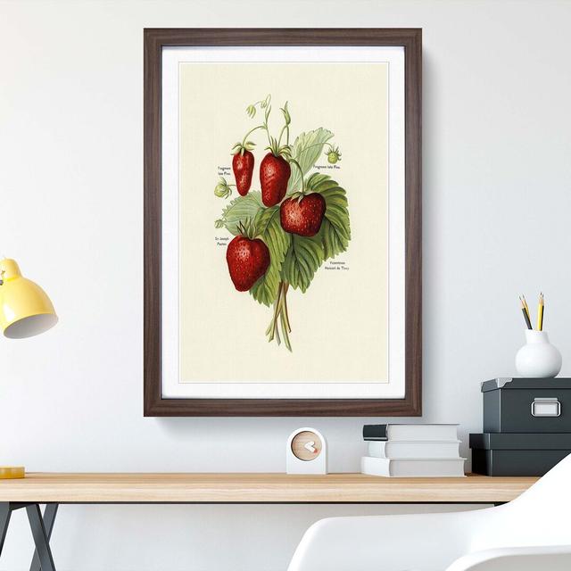 Vintage Illustration of Strawberries - Picture Frame Art Print East Urban Home Size: 91cm H x 60cm W x 2cm D, Frame Option: Walnut on Productcaster.