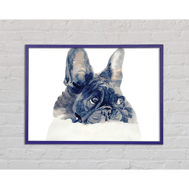 Cute French Bulldog - Single Picture Frame Art Prints Rosalind Wheeler Size: 21cm H x 29.7cm W x 2cm D on Productcaster.