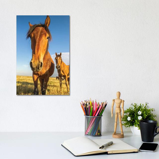 USA, Utah, Tooele County. Wild Horses Close-up. by Jaynes Gallery - Wrapped Canvas Gallery-Wrapped Canvas Giclée Brambly Cottage Size: 30.48cm H x 20. on Productcaster.