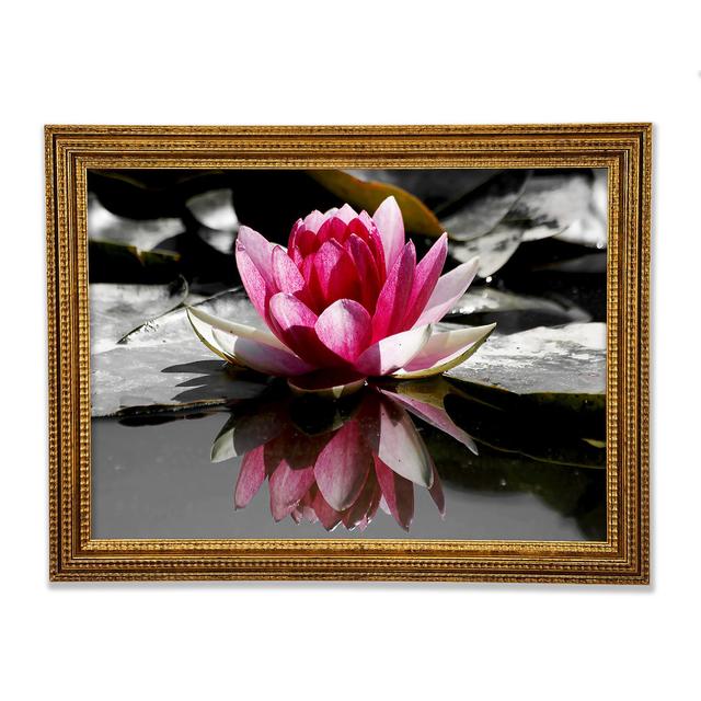 Single Picture Frame Art Prints Ebern Designs Size: 84.1cm H x 118.9cm W on Productcaster.