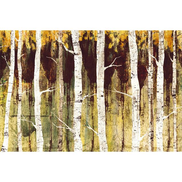 Sea of Birches - Wrapped Canvas Art Prints Alpen Home Size: 61cm H x 91cm W x 3.8cm D on Productcaster.