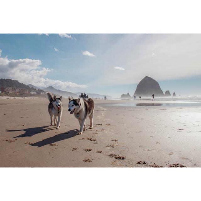 Happy Dogs Running On The Beach House of Hampton Size: 20cm H x 30cm W x 3.8cm D on Productcaster.