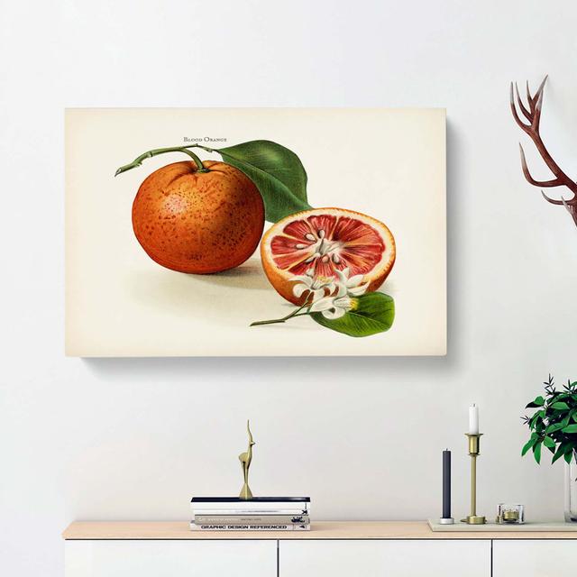 Vintage Illustration Of Blood Oranges - Wrapped Canvas Painting East Urban Home Size: 50cm H x 76cm W x 3cm D on Productcaster.