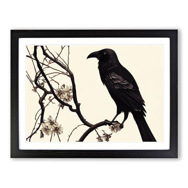 Terrific Crow Bird - Picture Frame Graphic Art Marlow Home Co. Format: Black Framed, Size: 46cm H x 64cm W x 2cm D on Productcaster.