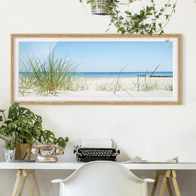 Picture With Frame - Baltic Sea Coast - Panorama Landscape - B House of Hampton Maße: 20 cm H x 50 cm B x 2 cm T, Rahmenauswahl: Brauner Rahmen on Productcaster.