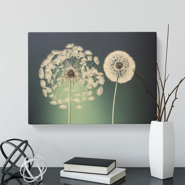 Wholesome Dandelion Flowers - Wrapped Canvas Graphic Art ClassicLiving Size: 50cm H x 76cm W x 3cm D on Productcaster.