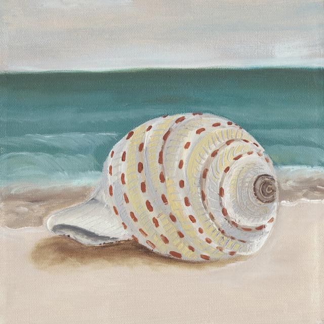 She Sells Seashells II by Alicia Ludwig - Wrapped Canvas Painting Highland Dunes Size: 51cm H x 51cm W on Productcaster.