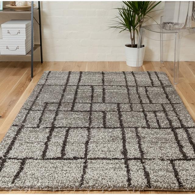 Risher Geometric Machine Woven 120 X 170cm Silver Area Rug Latitude Run on Productcaster.