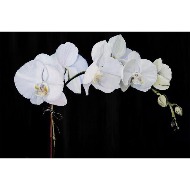 Dramatic Orchids II - Wrapped Canvas Photograph Marlow Home Co. Size: 20cm H x 30cm W on Productcaster.