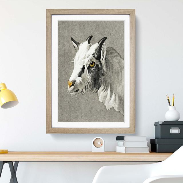 Head of a Goat by Jean Bernard - Picture Frame Painting Print East Urban Home Frame Option: Oak Framed, Size: 65cm H x 48cm W x 2cm D on Productcaster.