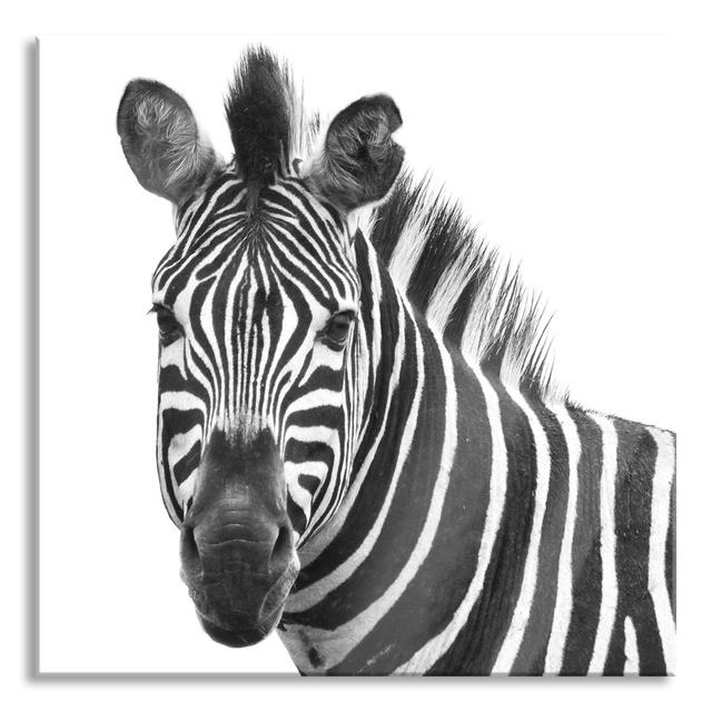 Zebra in Portrait - Unframed Photograph on Glass Gracie Oaks Size: 70cm H x 70cm W x 0.4cm D on Productcaster.