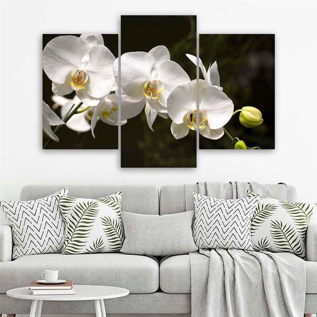 White Orchid - 3 Piece Wrapped Canvas Photograph Print Set World Menagerie Size: 60cm H x 90cm W on Productcaster.