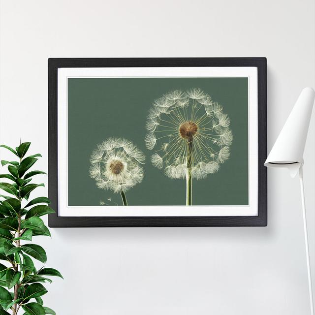 Ethereal Dandelion Flowers - Picture Frame Photograph ClassicLiving Size: 25cm H x 34cm W x 2cm D, Frame Colour: Black on Productcaster.