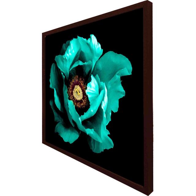 Slifer - Single Picture Frame Art Prints ClassicLiving Size: 41cm H x 41cm W x 4cm D, Frame Colour: Brown on Productcaster.