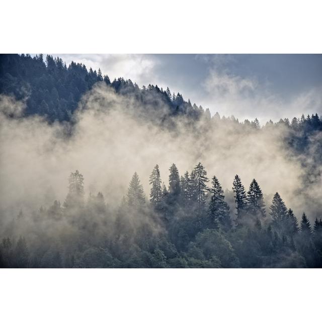 Morning Fog Near Schoppernau by Vora - Wrapped Canvas Print Union Rustic Size: 81.28cm x 121.92cm on Productcaster.