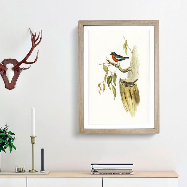 Flame-Breasted Robin by Elizabeth Gould - Picture Frame Painting Print East Urban Home Frame Option: Oak Framed, Size: 36cm H x 27cm W x 2cm D on Productcaster.