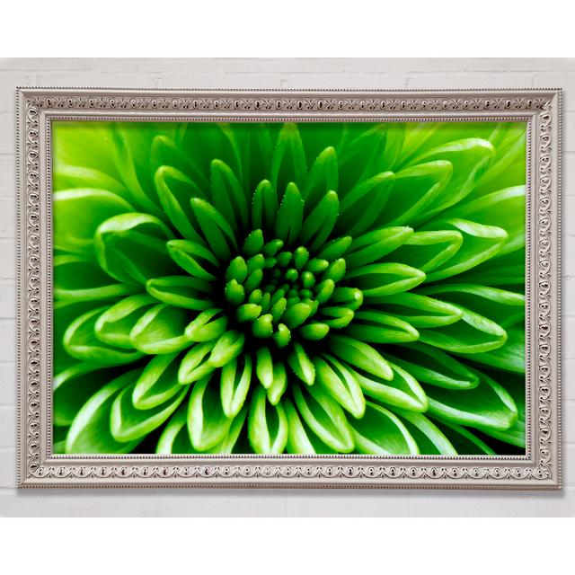 Green Centre - Print Latitude Run Format: Silver Framed Paper, Size: 84.1cm H x 118.9cm W x 3cm D on Productcaster.